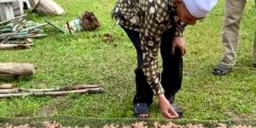 Dorong Peningkatan Ekonomi, Wakil Bupati Berkunjung ke Penghasil Udang Baring