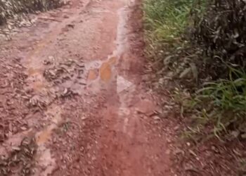 Butuh Perhatian Khusus, Jalan Desa Ludai Menuju Desa Muara Selaya Kampar Rusak Parah