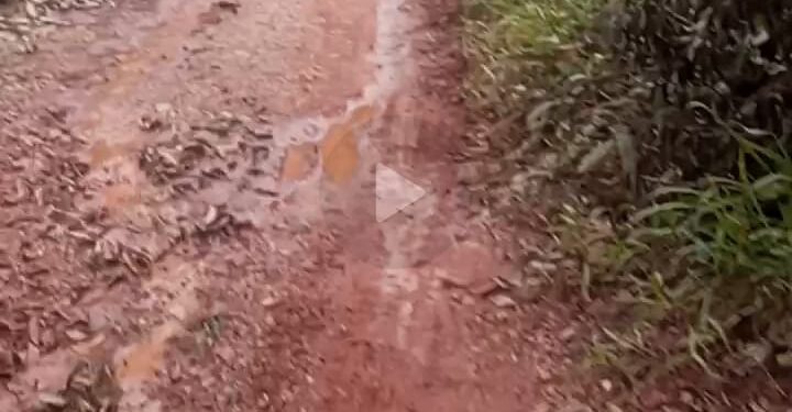 Butuh Perhatian Khusus, Jalan Desa Ludai Menuju Desa Muara Selaya Kampar Rusak Parah
