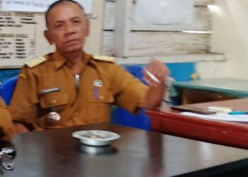 Gawat, Oknum Kepala Desa Paindoan Diduga Bekerja Sampingan Menjadi Mafia Tanah Di Kabupaten Toba