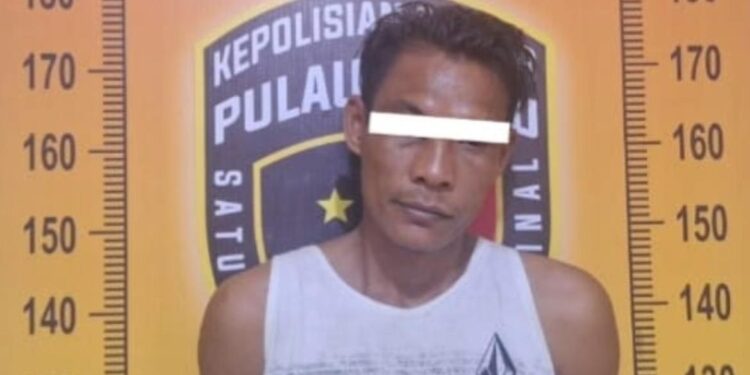 Pelaku Pencurian Di TSM Parit 1 RT 14 Primer III Desa Mekar Sari Diringkus Polsek Pulau Rimau