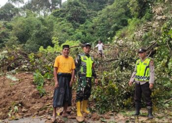 Tanah Longsor Menutup Akses Jalan Lokop-Pinding 