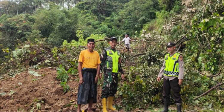 Tanah Longsor Menutup Akses Jalan Lokop-Pinding