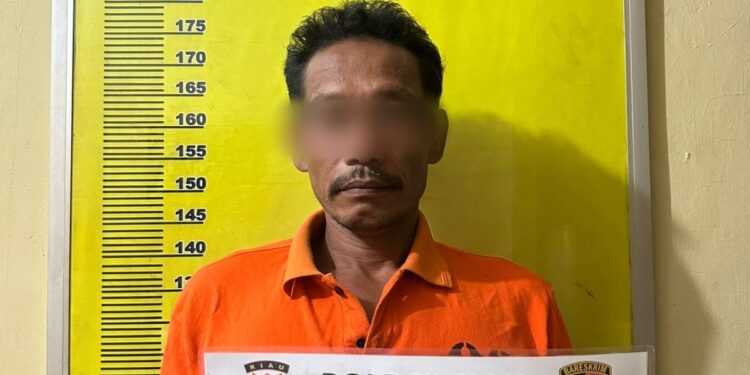 Curi besi Di Tol Permai, Pria Paruh Baya Di Kandis Ditangkap