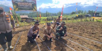 Dukung Asta Cita, Kapolsek Bersama Muspika Dan Masyarakat Linge Tanam Jagung Serentak