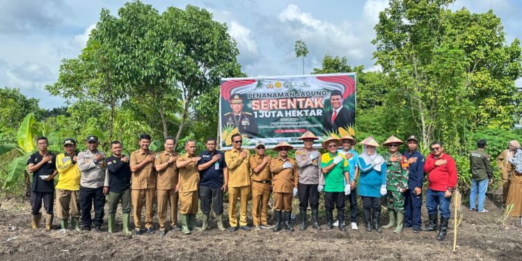 Penanaman Jagung 1 Juta Hektar Polsek Perhentian Raja