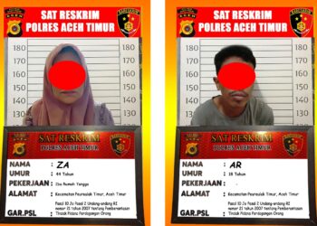 Imigran Ilegal Etnis Rohingya Hendak Dibawa ke Medan, Dua Warga Diringkus Polres Aceh Timur