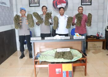 Polres Langsa Ringkus 3 Tersangka dan Ganja 10 Kg