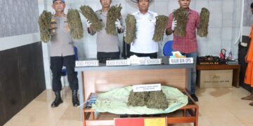 Polres Langsa Ringkus 3 Tersangka dan Ganja 10 Kg