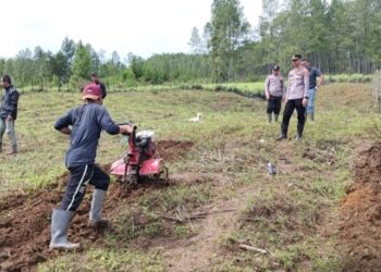 Mewujudkan Pemanfaatan lahan Produktif, kapolsek Linge dan jajaran Lakukan Sosialisasi serta menggarap lahan yang tidak terpakai menjadi lahan Produktif bersama Masyarakat