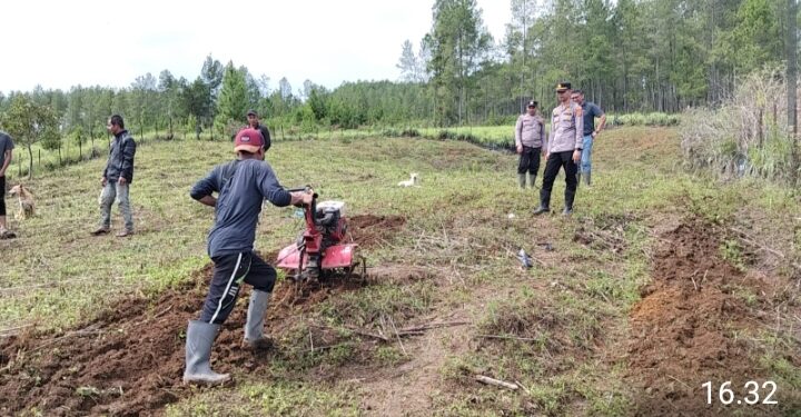 Mewujudkan Pemanfaatan lahan Produktif, kapolsek Linge dan jajaran Lakukan Sosialisasi serta menggarap lahan yang tidak terpakai menjadi lahan Produktif bersama Masyarakat
