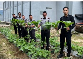 Wujud Akselerasi Ketahanan Pangan, Rutan Takengon Kembali Lakukan Panen Sayur