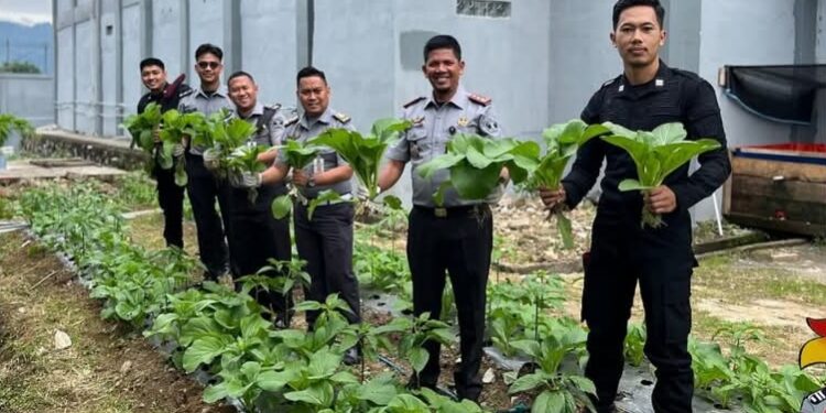 Wujud Akselerasi Ketahanan Pangan, Rutan Takengon Kembali Lakukan Panen Sayur