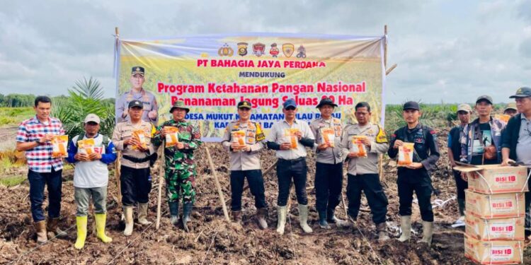 Kapolsek Pulau Rimau Hadiri Penanaman Jagung 1 Juta Hektare Di Desa Mukut