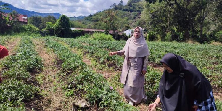 Dukung Asta Cita Presiden, SMK Negeri 2 Takengon Tanam Ubi Cilembu