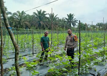Ajak Masyarakat Ketahanan Pangan, Polres Kampar Pengecekan Pekarangan Bergizi Di Sungai Pagar