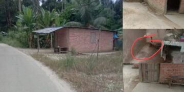 Marak Pencurian Di Desa Terantang I Masyarakat, Diduga Efek Narkoba