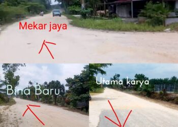 Usul jalan Aspal Lingkar Kampar Kiri Tengah, Warga Minta Perhatian Pemerintah Kampar