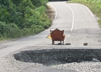 Ruas Jalan Provinsi, Kampung Besar Perlak – Blangkejeren Batas Abdya Ancam Keselamatan Pengguna Jalan