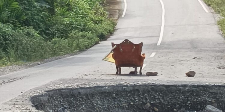 Ruas Jalan Provinsi, Kampung Besar Perlak – Blangkejeren Batas Abdya Ancam Keselamatan Pengguna Jalan