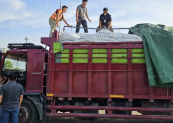 Bea Cukai Palembang Amankan Jutaan Batang Rokok Ilegal dengan Modus Pengiriman Pupuk