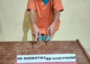 Polsek Kampar Kiri Hilir Ciduk Pengedar Sabu Di Desa Utama Karya, Amankan 13 Paket