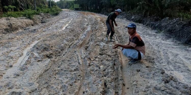 Demi Kelancaran Akses, Masyarakat Bangun Sari Timbun Jalan Rusak