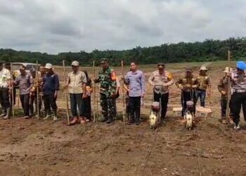 Kapolsek Betung Hadiri Penanaman Jagung 1 Juta Hektare Kerjasama Polri, Kementrian Dan Perusahaan
