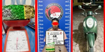 Satres Narkoba Polres Aceh Timur Ringkus Kurir 1 Kg Sabu