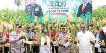 Wakapolda Aceh Panen Raya Jagung Tahap I Secara Serentak Di Kabupaten Pidie