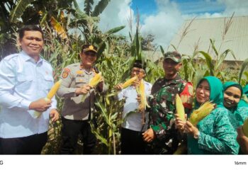 Kapolsek Betung Saksikan Panen Jagung Serentak Melalui Zoom Meeting