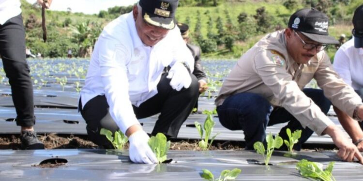 Pj. Bupati Subhandhy Dorong Swasembada Pangan Melalui Program Di Hari Desa Nasional