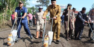Pj. Sekda Erwin Pratama Lakukan Penanaman Jagung Serentak 1 Juta Hektar