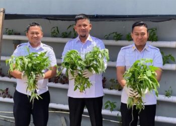 Wujud Akselerasi Ketahanan Pangan Nasional, Rutan Takengon Kembali Lakukan Panen Sayur