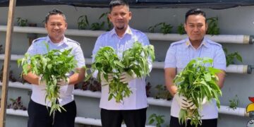 Wujud Akselerasi Ketahanan Pangan Nasional, Rutan Takengon Kembali Lakukan Panen Sayur