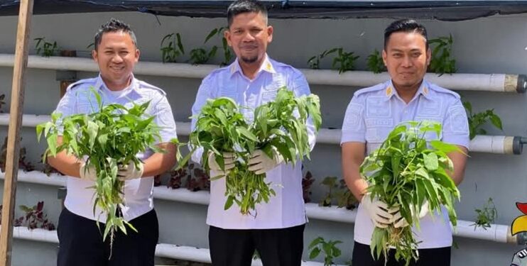 Wujud Akselerasi Ketahanan Pangan Nasional, Rutan Takengon Kembali Lakukan Panen Sayur