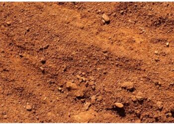 Diduga Pembeli Dan Penjual Bersekongkol, Transaksi Jual Beli Tanpa Surat Dasar Hak Milik