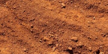 Diduga Pembeli Dan Penjual Bersekongkol, Transaksi Jual Beli Tanpa Surat Dasar Hak Milik