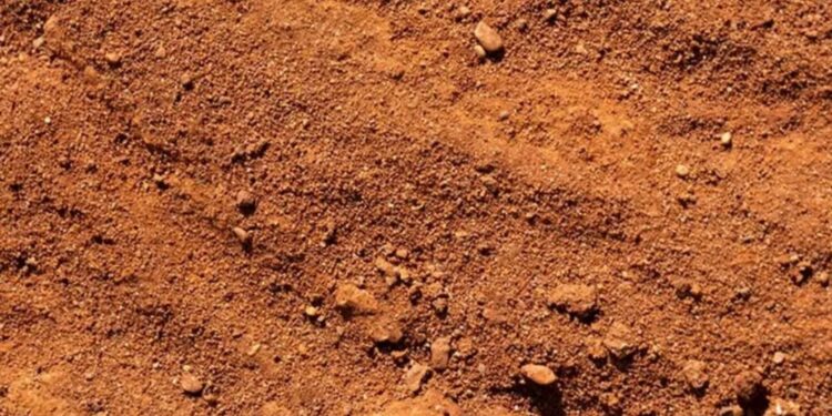 Diduga Pembeli Dan Penjual Bersekongkol, Transaksi Jual Beli Tanpa Surat Dasar Hak Milik