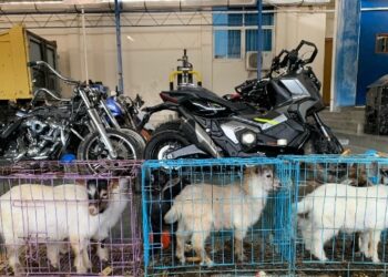 Bea Cukai Langsa Kembali Gagalkan Penyelundupan Barang Ilegal