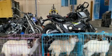 Bea Cukai Langsa Kembali Gagalkan Penyelundupan Barang Ilegal