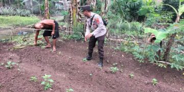 Cek Lahan Pekarangan Milik Abdulah, Bhabinkamtibmas Polsek Makarti Jaya Berikan Motivasi 