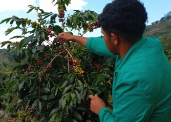 “Investasi Akhirat, Wakaf Kopi Cikal Bakal Pembangunan Masjid Di Dusun Kala Wih Ilang”