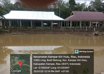 Ada Apa Dengan Oknum Kades Bukit Betung Mengklarifikasi Berita Memakai Media Lain