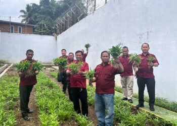 Lapas Blangkejeren Gelar Panen Raya Kangkung, Mendukung Program Ketahanan Pangan