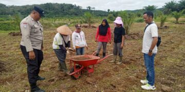 Dukung Asta Cita, Polsek Hulu Kuantan Cek Pengolahan Lahan Tumpang Sari PT Udaya Lohjinawi