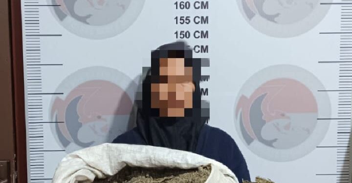 Nenek 57 Tahun Ditangkap Polisi di Bener Meriah, Diduga Terlibat Kasus Narkotika