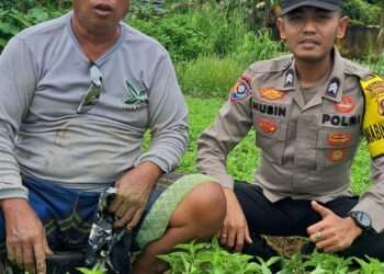 Dukung Ketahanan Pangan, Briptu M Husein Ajak Warga Memanfaatkan Lahan Pekarangan