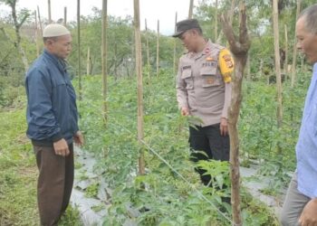 Polisi Cinta Petani, Polres Bener Meriah Dukung Ketahanan Pangan Nasional