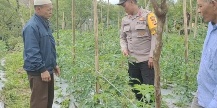 Polisi Cinta Petani, Polres Bener Meriah Dukung Ketahanan Pangan Nasional